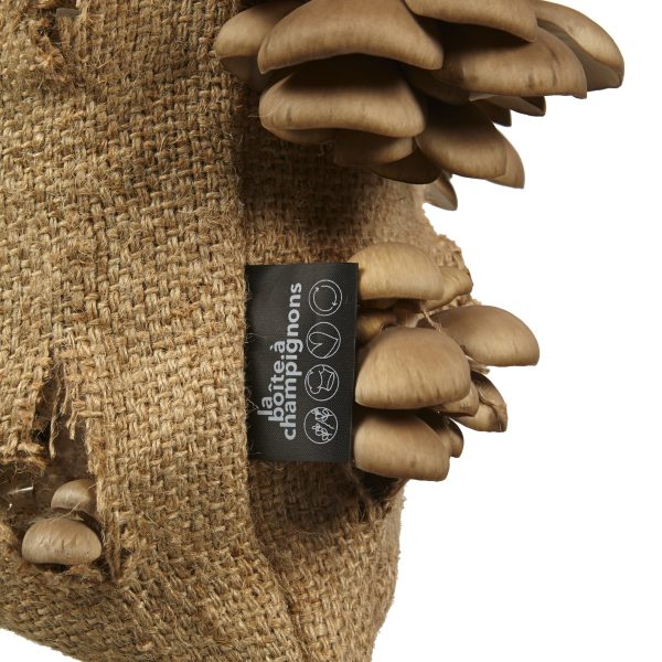 LOMBRICOMPOST PUR - EN VRAC